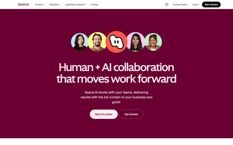 Asana Intelligence