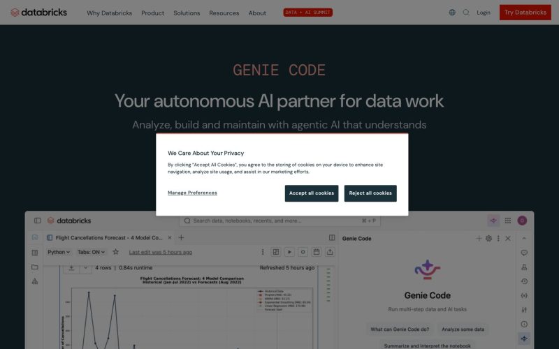 Databricks Assistant